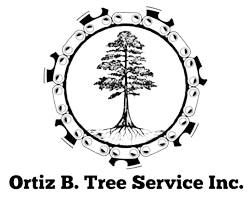Ortiz B Tree Services Inc
